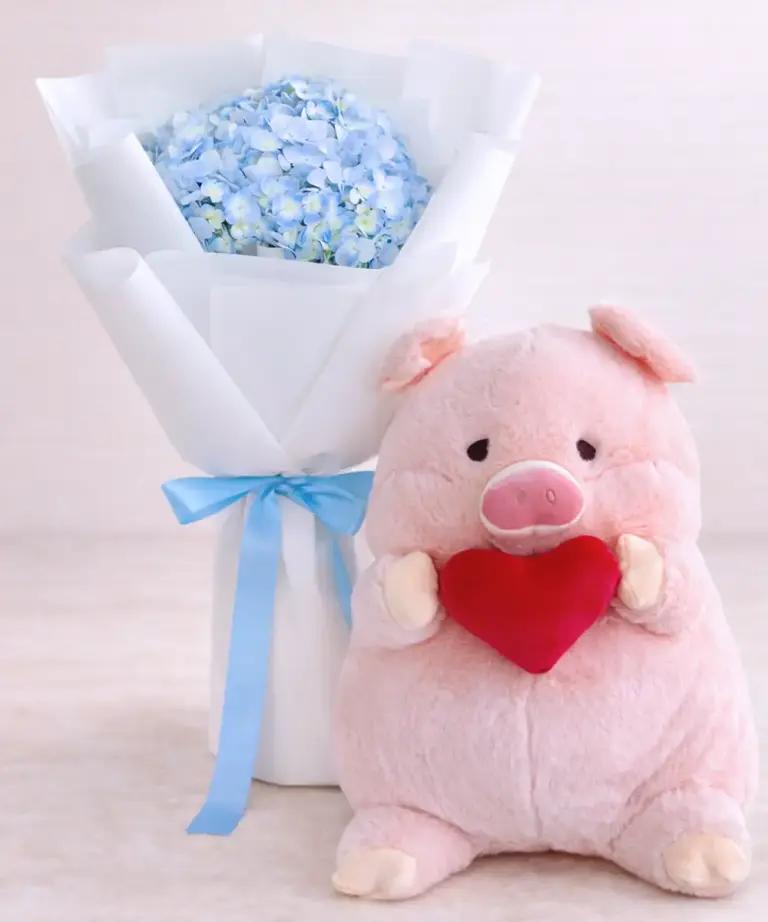 V524-Pig LYF Morning Kiss and Piggy Plush V524-Pig LYF Morning Kiss and Piggy Plush
